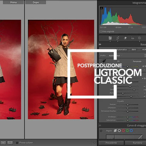 Lightroom_3.jpg